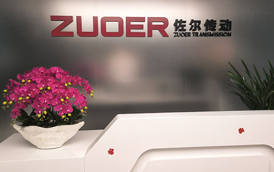 Shanghai-Zoer-Transmission-Equipment Shanghai-Zoer-Transmission-Equipment